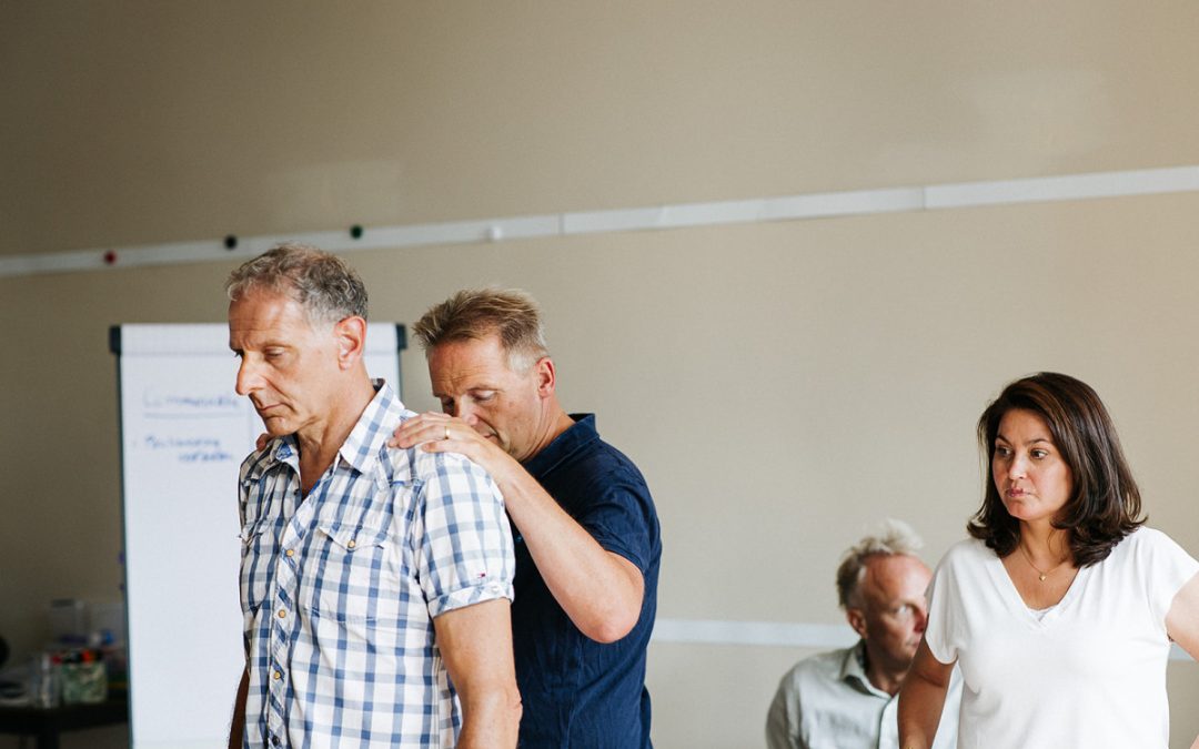 Ontdek de kracht van systemisch werken in organisaties: doorbreek patronen en verbeter samenwerking